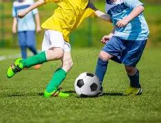 中国排球协,会严正要求,企业停止违,澳门威尼斯人官网,澳门威尼斯人在线,澳门威尼斯人平台,澳门威尼斯人中国