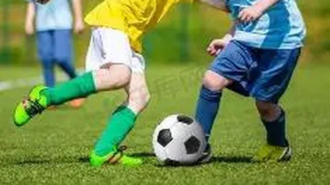 澳门威尼斯人在线 产品 083003 qh1