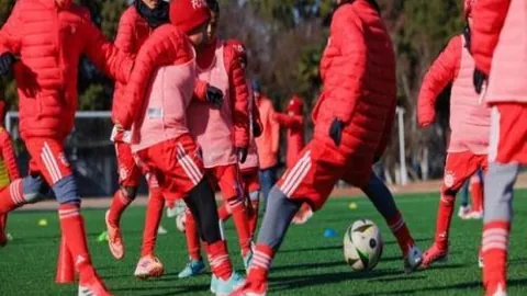 何詩蓓百米自由泳世錦賽摘得亞軍，短池賽事四強落幕