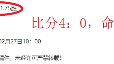 《電訊報》：帕爾默成今夏切尔西最大獲利引援
